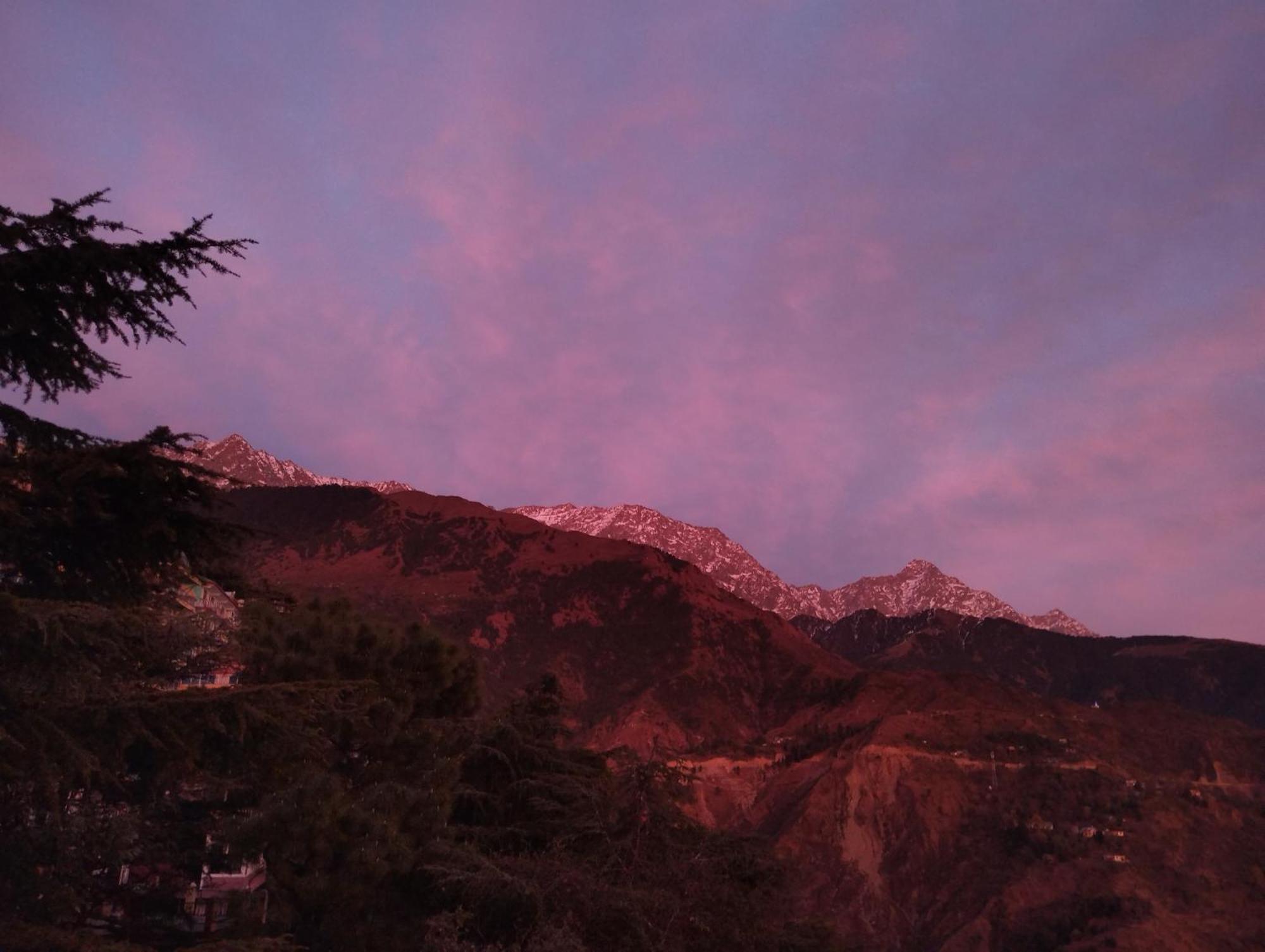 Verma Guest House Dharamsala Zewnętrze zdjęcie
